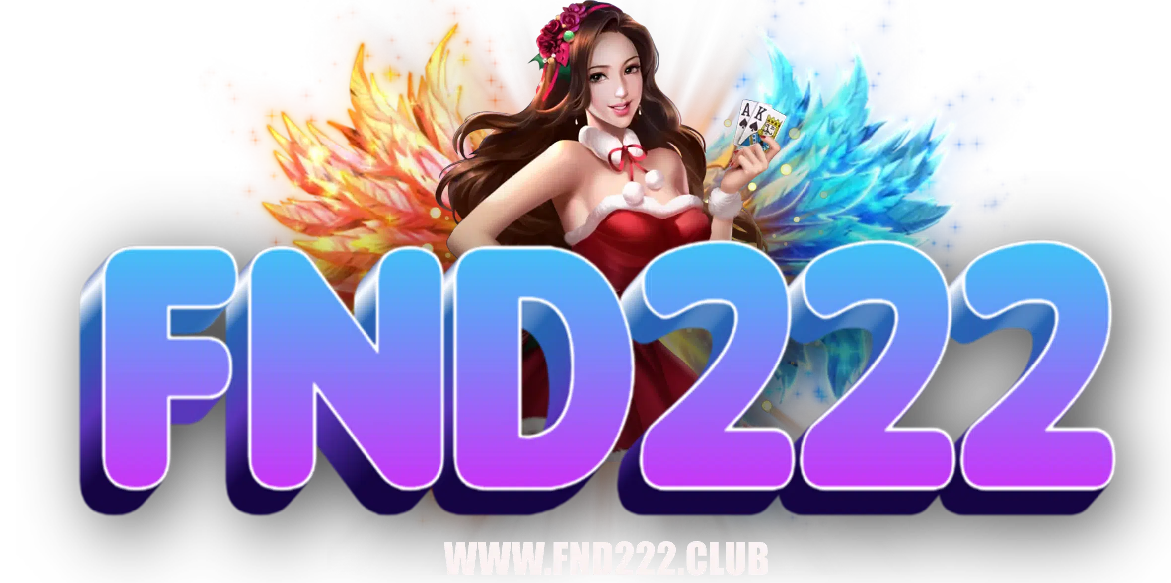 fnd222